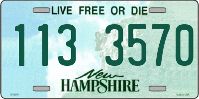 NH license plate 1133570