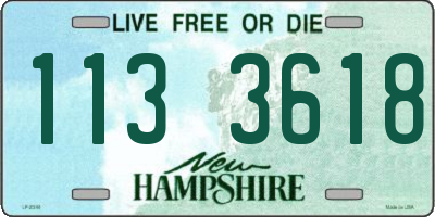 NH license plate 1133618
