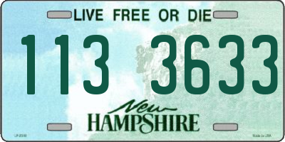 NH license plate 1133633
