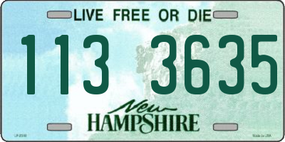 NH license plate 1133635