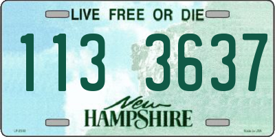 NH license plate 1133637