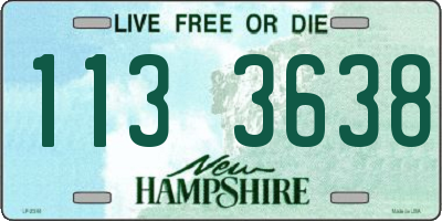 NH license plate 1133638