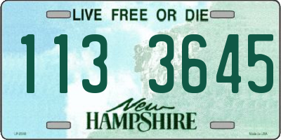 NH license plate 1133645