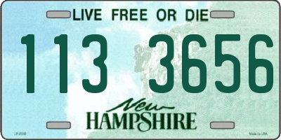 NH license plate 1133656