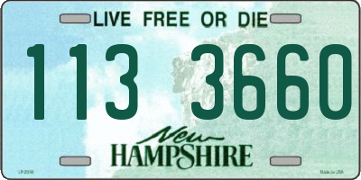 NH license plate 1133660