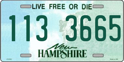 NH license plate 1133665