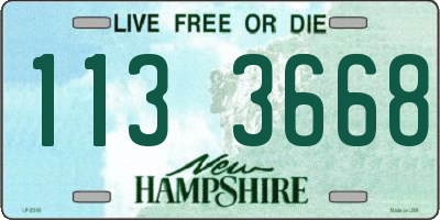 NH license plate 1133668