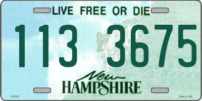 NH license plate 1133675