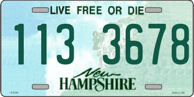 NH license plate 1133678