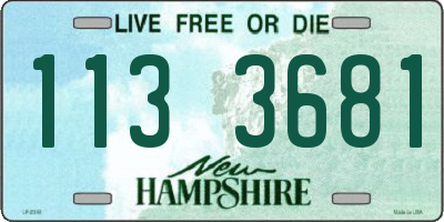 NH license plate 1133681