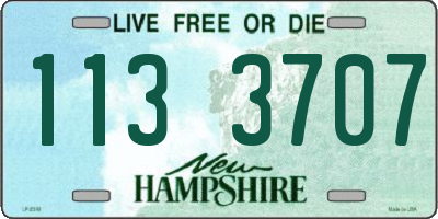 NH license plate 1133707