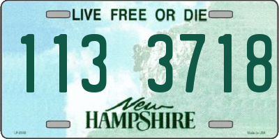 NH license plate 1133718