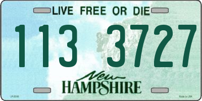 NH license plate 1133727