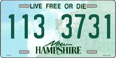 NH license plate 1133731