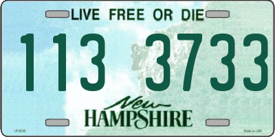 NH license plate 1133733