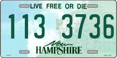 NH license plate 1133736