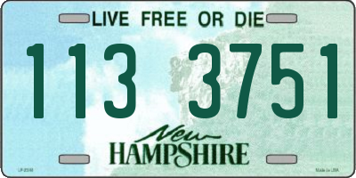 NH license plate 1133751