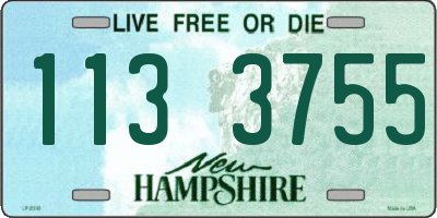 NH license plate 1133755