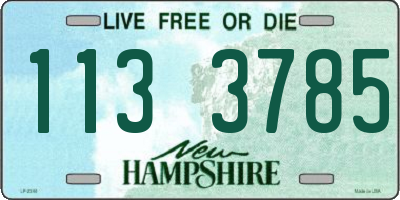 NH license plate 1133785