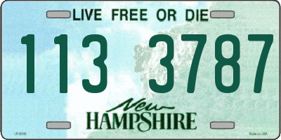 NH license plate 1133787