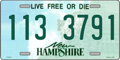 NH license plate 1133791