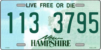 NH license plate 1133795