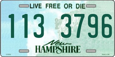 NH license plate 1133796