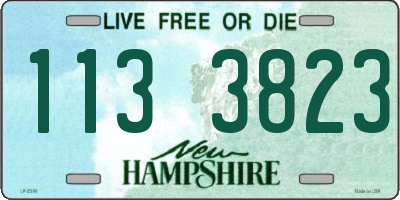 NH license plate 1133823