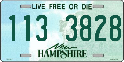 NH license plate 1133828