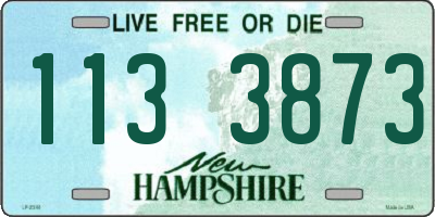 NH license plate 1133873