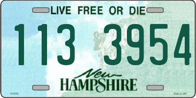 NH license plate 1133954
