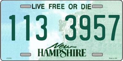 NH license plate 1133957