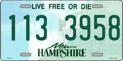 NH license plate 1133958