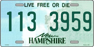 NH license plate 1133959