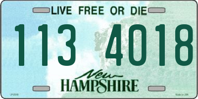 NH license plate 1134018