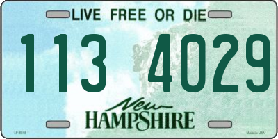 NH license plate 1134029