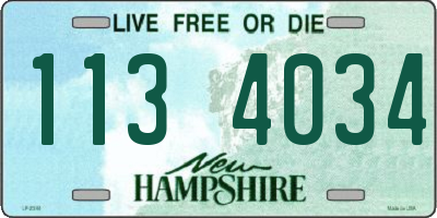 NH license plate 1134034