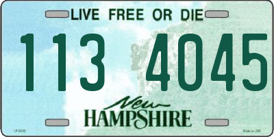 NH license plate 1134045