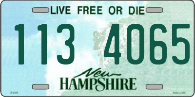 NH license plate 1134065