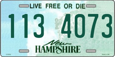 NH license plate 1134073