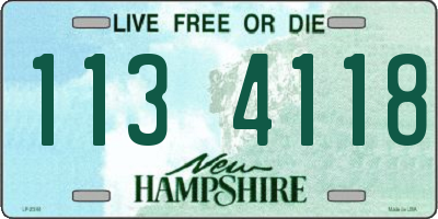 NH license plate 1134118