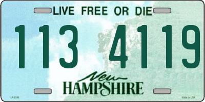 NH license plate 1134119