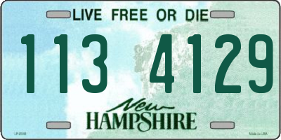NH license plate 1134129