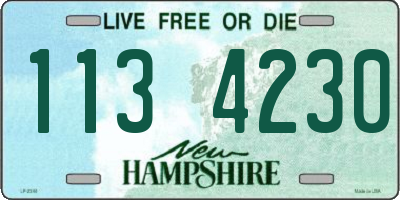 NH license plate 1134230