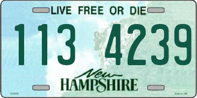 NH license plate 1134239