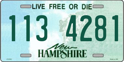 NH license plate 1134281