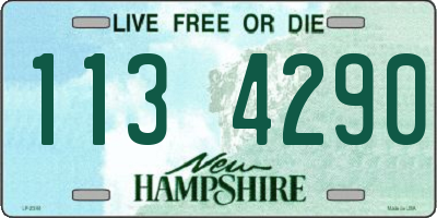 NH license plate 1134290