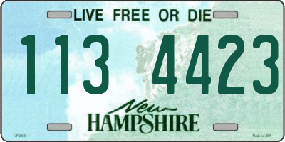 NH license plate 1134423