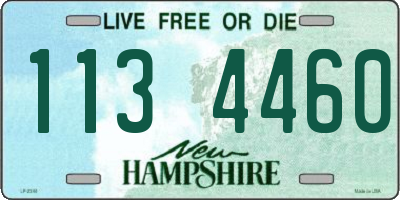 NH license plate 1134460