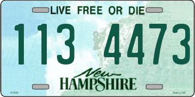 NH license plate 1134473